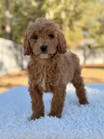 processed/0114bd3c-3825-4b13-b17c-22e92011358a/listing/88ee60d8-8bef-4097-9a85-33fed242c343/89239cc1-fe5e-455c-a6d7-30f728e0a6fe