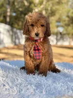 processed/0114bd3c-3825-4b13-b17c-22e92011358a/listing/88ee60d8-8bef-4097-9a85-33fed242c343/8cc82325-4f0d-47e9-acf5-d4d13ff8c933