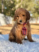 processed/0114bd3c-3825-4b13-b17c-22e92011358a/listing/88ee60d8-8bef-4097-9a85-33fed242c343/c5b36078-d4e5-4342-a4b5-7018f28ac0b2