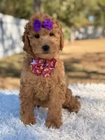 processed/0114bd3c-3825-4b13-b17c-22e92011358a/listing/97c673e6-e845-4d4d-93b7-27a80b51c4b3/09f45450-e1a2-4580-a9b0-f4421ea9134e