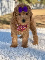 processed/0114bd3c-3825-4b13-b17c-22e92011358a/listing/97c673e6-e845-4d4d-93b7-27a80b51c4b3/200efd2e-a8ea-40ae-9e66-ca1e619aa407