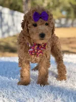 processed/0114bd3c-3825-4b13-b17c-22e92011358a/listing/97c673e6-e845-4d4d-93b7-27a80b51c4b3/32ba3ff3-fb32-49ca-b9f1-79e17c604726