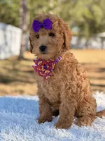 processed/0114bd3c-3825-4b13-b17c-22e92011358a/listing/97c673e6-e845-4d4d-93b7-27a80b51c4b3/3cbc103b-203d-4f29-9eb0-4b812f2aa6cb