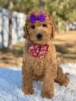 processed/0114bd3c-3825-4b13-b17c-22e92011358a/listing/97c673e6-e845-4d4d-93b7-27a80b51c4b3/6c5c931f-6f64-440d-bbf7-ebe72aab2bbb