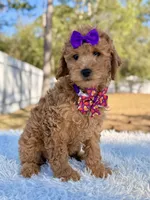 processed/0114bd3c-3825-4b13-b17c-22e92011358a/listing/97c673e6-e845-4d4d-93b7-27a80b51c4b3/b3893330-6a90-46d5-98c5-6a7c7a8b201c