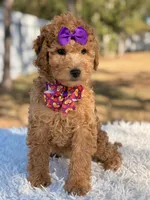 processed/0114bd3c-3825-4b13-b17c-22e92011358a/listing/97c673e6-e845-4d4d-93b7-27a80b51c4b3/cb09016f-bbd5-47ba-bc92-abbcb3cc6127