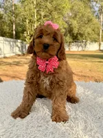 processed/0114bd3c-3825-4b13-b17c-22e92011358a/listing/9c355911-f9d1-4b1d-87e7-05819ffb4247/19516f59-9a60-4fcc-9e36-170c7b34c0b9