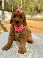 processed/0114bd3c-3825-4b13-b17c-22e92011358a/listing/9c355911-f9d1-4b1d-87e7-05819ffb4247/243ffe70-2a16-4991-bf82-d47a4c06d3fb