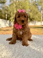 processed/0114bd3c-3825-4b13-b17c-22e92011358a/listing/9c355911-f9d1-4b1d-87e7-05819ffb4247/37f83649-1bb9-4e84-8394-e8934df3f7e1