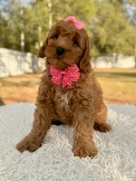 processed/0114bd3c-3825-4b13-b17c-22e92011358a/listing/9c355911-f9d1-4b1d-87e7-05819ffb4247/56e0548e-470f-43a8-a1ca-0f3dc980d084