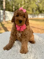 processed/0114bd3c-3825-4b13-b17c-22e92011358a/listing/9c355911-f9d1-4b1d-87e7-05819ffb4247/833a5b95-f1fe-4da5-985c-422badd53f73