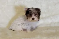 processed/011809c6-4e5c-4ac1-b17e-60d8e478b4ac/listing/0355c8b2-0cb7-443d-834b-114ca4e64d8a/6f715391-8068-4a09-b246-72dc085bca57