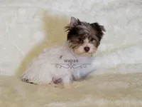 processed/011809c6-4e5c-4ac1-b17e-60d8e478b4ac/listing/0355c8b2-0cb7-443d-834b-114ca4e64d8a/79132ffd-8a6f-409f-bb00-7eeac896298d