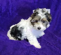 processed/011809c6-4e5c-4ac1-b17e-60d8e478b4ac/listing/15bb48b2-b171-44a1-924f-5b5d23e13f59/4618fd85-c33c-49bc-bc20-a72c1f88cefc