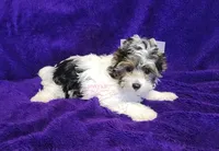 processed/011809c6-4e5c-4ac1-b17e-60d8e478b4ac/listing/15bb48b2-b171-44a1-924f-5b5d23e13f59/47e25ad9-0f8e-4efc-a98e-c747d1a64150