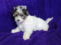 processed/011809c6-4e5c-4ac1-b17e-60d8e478b4ac/listing/15bb48b2-b171-44a1-924f-5b5d23e13f59/9c18e81d-a6f2-448a-baa6-2ebf3886fef1