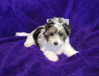 processed/011809c6-4e5c-4ac1-b17e-60d8e478b4ac/listing/15bb48b2-b171-44a1-924f-5b5d23e13f59/f51cb7cf-8af3-43c7-ace9-0a09089ee76c