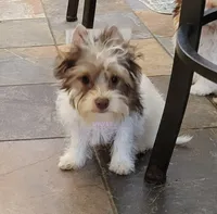 processed/011809c6-4e5c-4ac1-b17e-60d8e478b4ac/listing/1f1acf96-75f7-449b-8b00-ce2902b1f7d9/4e8859bb-a48e-4c63-a384-1e8fa7f8b845