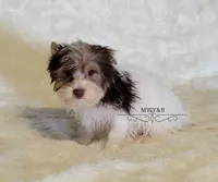 processed/011809c6-4e5c-4ac1-b17e-60d8e478b4ac/listing/1f1acf96-75f7-449b-8b00-ce2902b1f7d9/92a32a89-359e-40c8-a799-f5f69cb40750