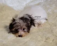 processed/011809c6-4e5c-4ac1-b17e-60d8e478b4ac/listing/1f1acf96-75f7-449b-8b00-ce2902b1f7d9/9f639975-84c6-41b8-b0c2-6b695e4d6097