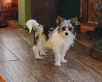 processed/011809c6-4e5c-4ac1-b17e-60d8e478b4ac/listing/4bab58dd-e91f-4a20-bff9-4031745b6f81/dd409659-f84f-45f9-8c55-8f604b703580