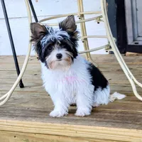 processed/011809c6-4e5c-4ac1-b17e-60d8e478b4ac/listing/4d363f5b-a77c-494d-acd1-2d0f91ec2062/08179bbb-2544-40ae-97c8-9e9a09348900