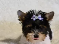 processed/011809c6-4e5c-4ac1-b17e-60d8e478b4ac/listing/4d363f5b-a77c-494d-acd1-2d0f91ec2062/23d3e980-dd5b-491c-93e0-e75a4640ba5c