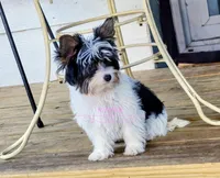 processed/011809c6-4e5c-4ac1-b17e-60d8e478b4ac/listing/4d363f5b-a77c-494d-acd1-2d0f91ec2062/72a83727-670c-4af8-b6b1-42b2c2113bf9