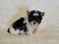 processed/011809c6-4e5c-4ac1-b17e-60d8e478b4ac/listing/4d363f5b-a77c-494d-acd1-2d0f91ec2062/987f590d-d456-42f6-a2b4-93776be725f3