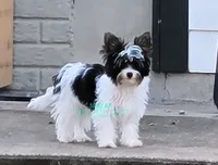 processed/011809c6-4e5c-4ac1-b17e-60d8e478b4ac/listing/4d363f5b-a77c-494d-acd1-2d0f91ec2062/9c2ce374-e09f-4a64-a5dc-d973acc61fa4