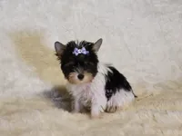 processed/011809c6-4e5c-4ac1-b17e-60d8e478b4ac/listing/4d363f5b-a77c-494d-acd1-2d0f91ec2062/ce9ab856-d43b-4c36-86a8-12d51b920d0d