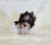 processed/011809c6-4e5c-4ac1-b17e-60d8e478b4ac/listing/82da619a-6c65-4473-98af-130e4379af00/047223b4-39f7-4cf6-a650-808a1d8b82e0