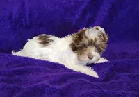 processed/011809c6-4e5c-4ac1-b17e-60d8e478b4ac/listing/82da619a-6c65-4473-98af-130e4379af00/0ce4cdd6-560b-4b52-a6d9-6dd439ac67a9