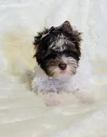 processed/011809c6-4e5c-4ac1-b17e-60d8e478b4ac/listing/82da619a-6c65-4473-98af-130e4379af00/741d2182-9a42-46da-a33d-8382b63fb317