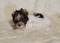 processed/011809c6-4e5c-4ac1-b17e-60d8e478b4ac/listing/82da619a-6c65-4473-98af-130e4379af00/753c6095-2044-482c-ad11-c257656d5d79