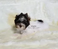 processed/011809c6-4e5c-4ac1-b17e-60d8e478b4ac/listing/82da619a-6c65-4473-98af-130e4379af00/d677d485-4abe-4f40-8410-53965eee2a84