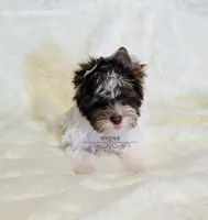 processed/011809c6-4e5c-4ac1-b17e-60d8e478b4ac/listing/82da619a-6c65-4473-98af-130e4379af00/da768a37-6f65-41a6-9dec-401df07e138b