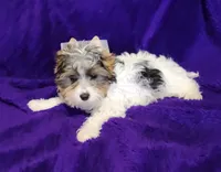 processed/011809c6-4e5c-4ac1-b17e-60d8e478b4ac/listing/9fd9ca03-6747-43d8-9931-fd954239d42b/08f5c90a-3ae5-4483-b642-7dbd6323d018