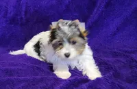 processed/011809c6-4e5c-4ac1-b17e-60d8e478b4ac/listing/9fd9ca03-6747-43d8-9931-fd954239d42b/2265d541-9e38-46d4-8bf1-dbd129a486a1