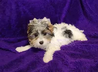 processed/011809c6-4e5c-4ac1-b17e-60d8e478b4ac/listing/9fd9ca03-6747-43d8-9931-fd954239d42b/33d1fe82-3717-4ed8-96dd-b88dd15d3d82