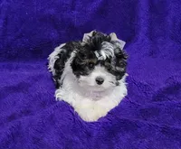 processed/011809c6-4e5c-4ac1-b17e-60d8e478b4ac/listing/a5b46feb-f078-4494-a653-b63ac9d24ffd/54a08841-a187-4da9-97b1-23f67ceff15b