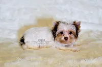 processed/011809c6-4e5c-4ac1-b17e-60d8e478b4ac/listing/c2903916-4f08-4980-a583-1338f9970cfa/5cecc0af-be9c-416f-89e6-1bb70f89ec70