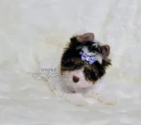 processed/011809c6-4e5c-4ac1-b17e-60d8e478b4ac/listing/d5eb3403-8198-421d-89cc-f6291816b48c/2fb86213-042b-4b29-bb7e-2024d8671957