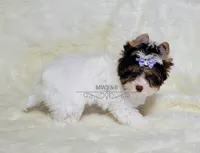 processed/011809c6-4e5c-4ac1-b17e-60d8e478b4ac/listing/d5eb3403-8198-421d-89cc-f6291816b48c/706caa41-a35b-4981-be61-ce2142aeee7f