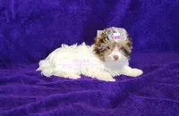 processed/011809c6-4e5c-4ac1-b17e-60d8e478b4ac/listing/d5eb3403-8198-421d-89cc-f6291816b48c/c358e691-1c70-458b-9bd8-fe2224c3806b