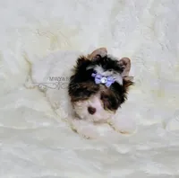 processed/011809c6-4e5c-4ac1-b17e-60d8e478b4ac/listing/d5eb3403-8198-421d-89cc-f6291816b48c/d1e112b2-bad8-4b53-989a-cceb0bb2bcc2