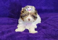 processed/011809c6-4e5c-4ac1-b17e-60d8e478b4ac/listing/d5eb3403-8198-421d-89cc-f6291816b48c/d9edd1b9-e5e7-42bf-aa14-dfa86121d504