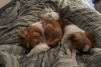 processed/011a496d-a309-419e-aea4-3db2733fbe57/facility/1c31c48f-cd99-48a7-ba44-702e1efb3b9d