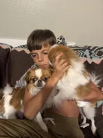 processed/011a496d-a309-419e-aea4-3db2733fbe57/facility/1e0c3b37-b1a7-491b-8f6b-c5ac4e07f626