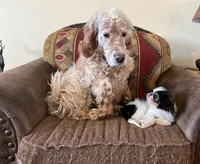 processed/011a496d-a309-419e-aea4-3db2733fbe57/facility/311d88d3-bec1-40e4-9138-1f5571027df3